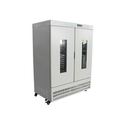 上海精其藥品穩定性試驗箱SHH-500GSD 110×50×100 
